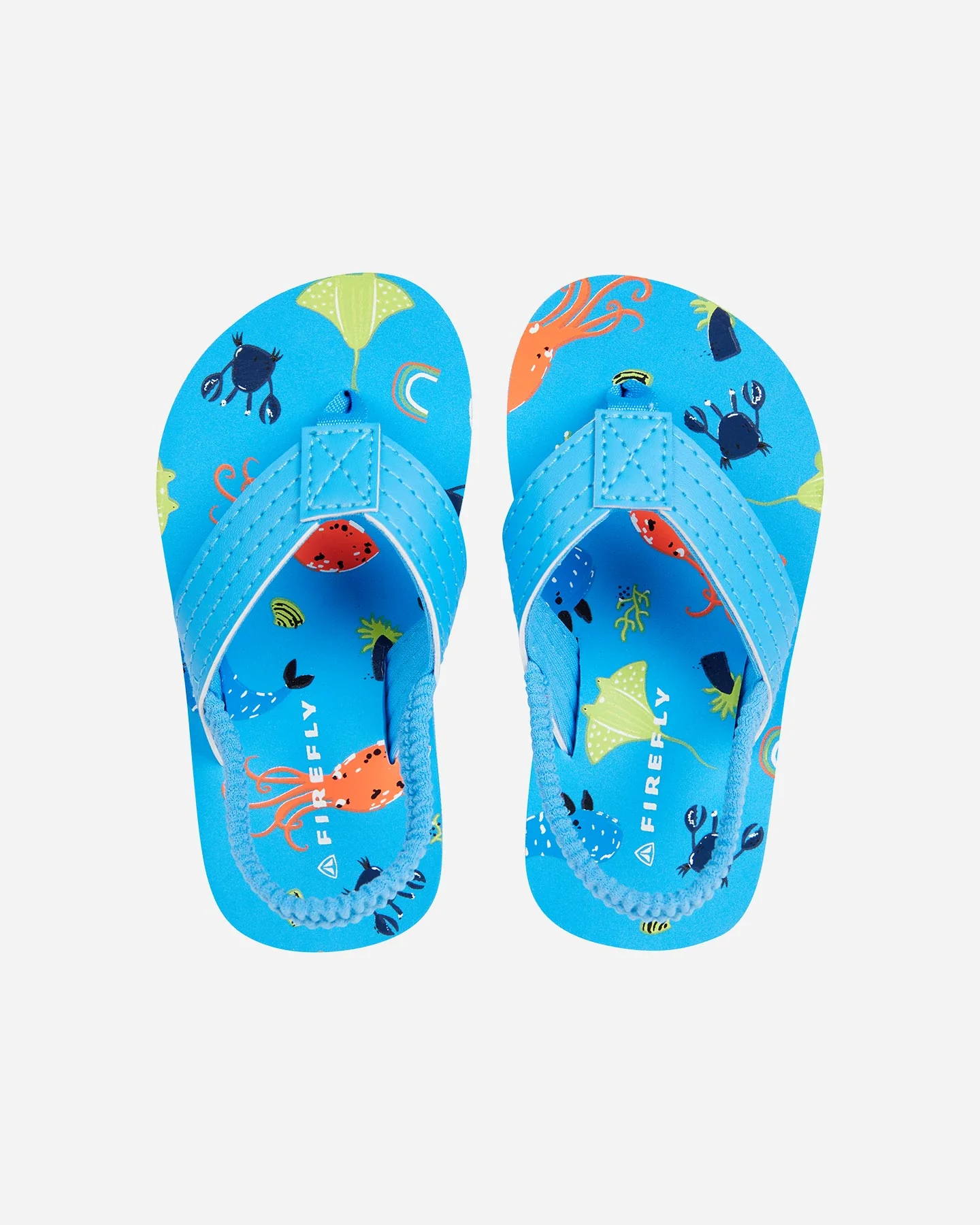 INFRADITO FIREFLY KIM XI BOY BLUE/BLUE ROYAL/ORANG BAMBINO