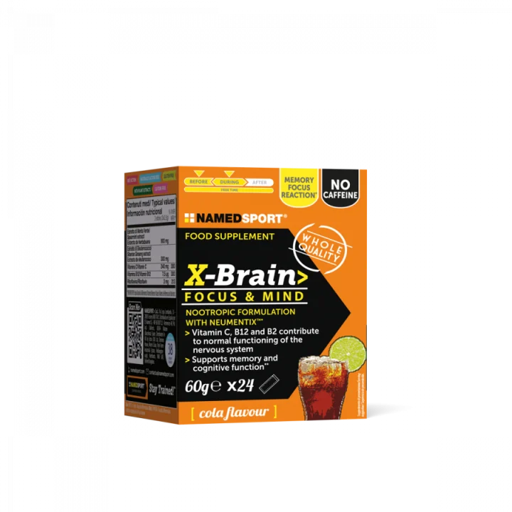 Named X-Brain 24 stick