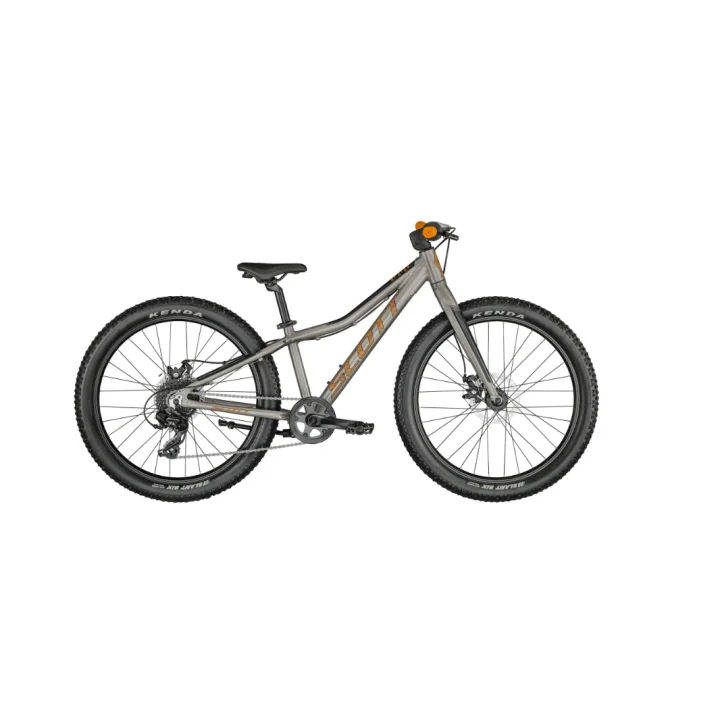Scott Roxter 24 Silver